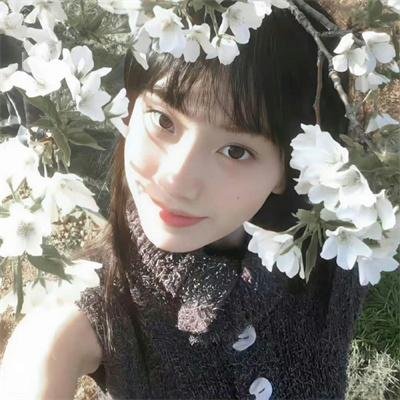 山茶花飘零