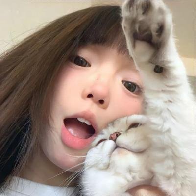 主妇之谜